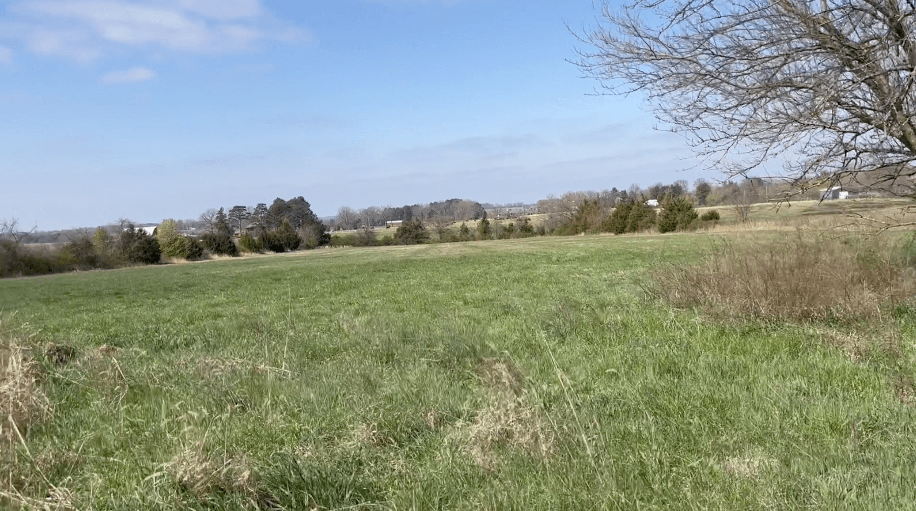 Image for Ross Real Estate Auction