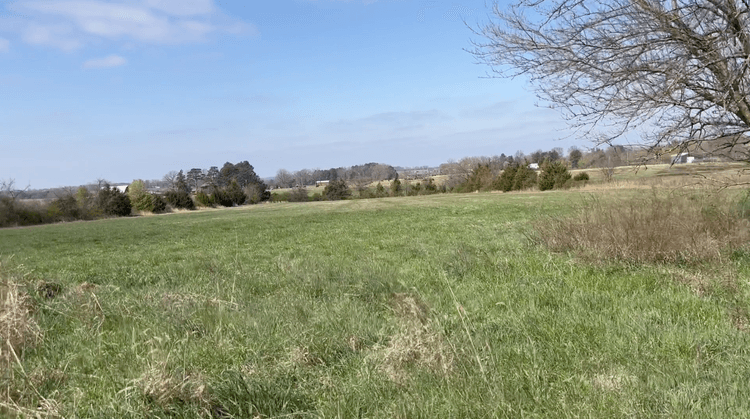 Image for Ross Real Estate Auction