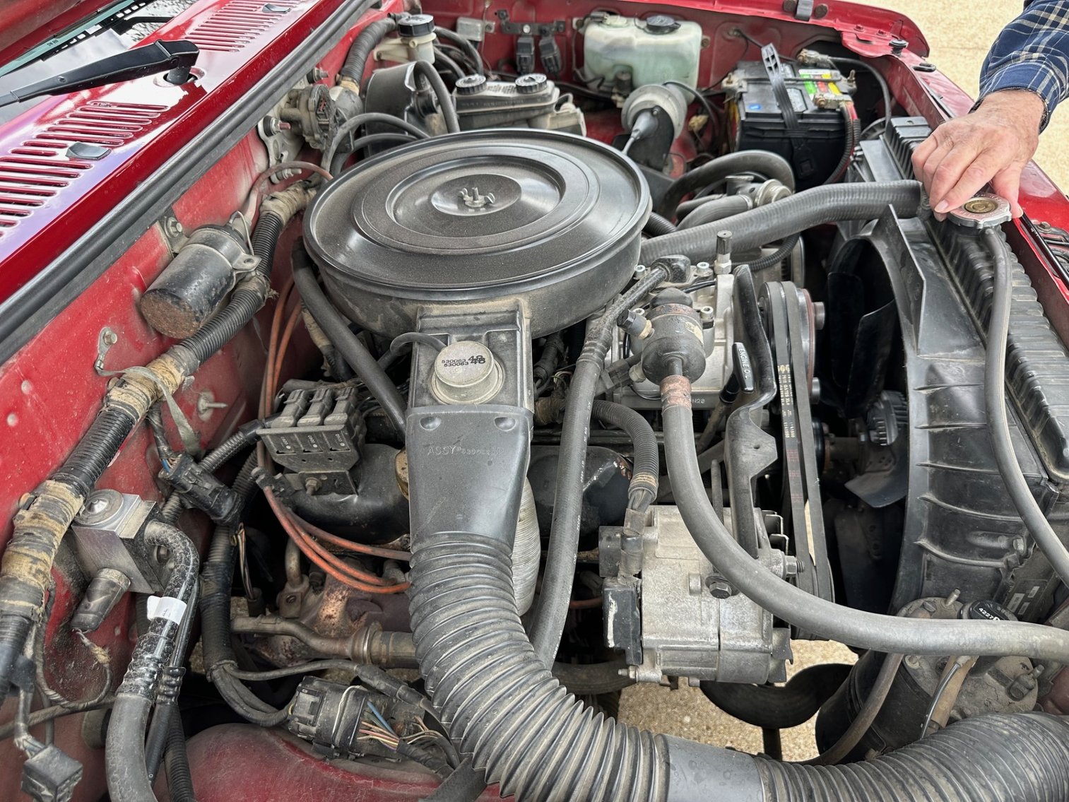 Image for McClure Moving Auction