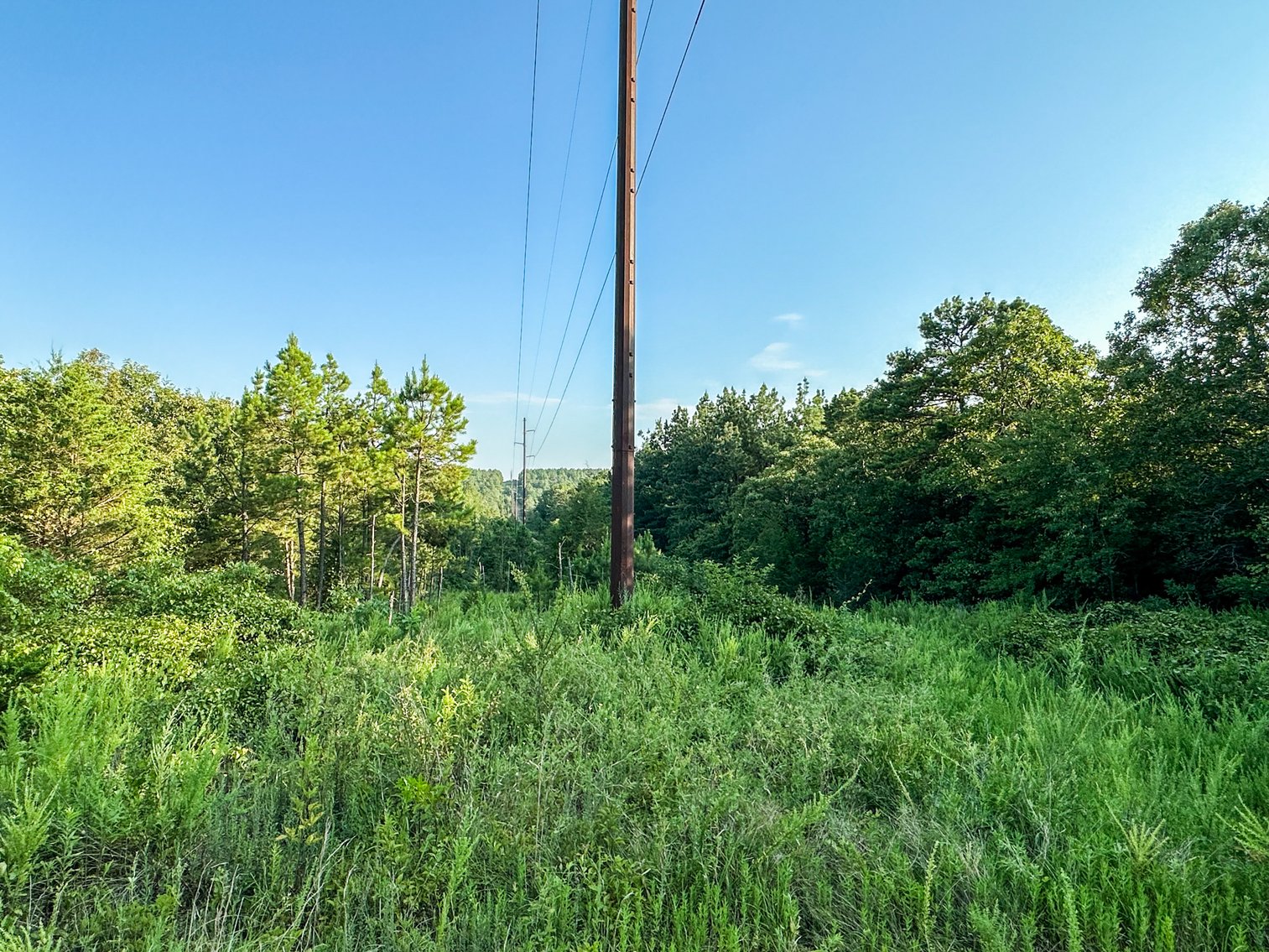 Image for Mena Timber Land | 4,636 Acres Auction