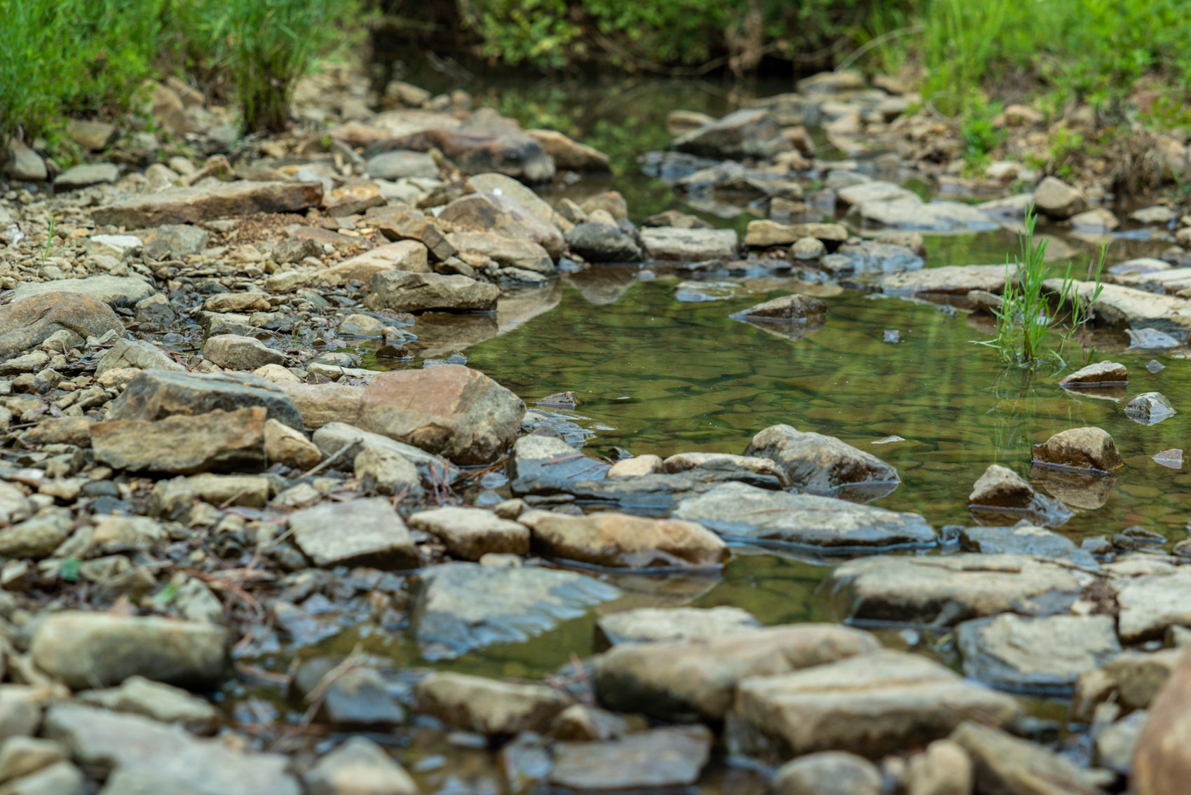 Image for Mena Timber Land | 4,636 Acres Auction