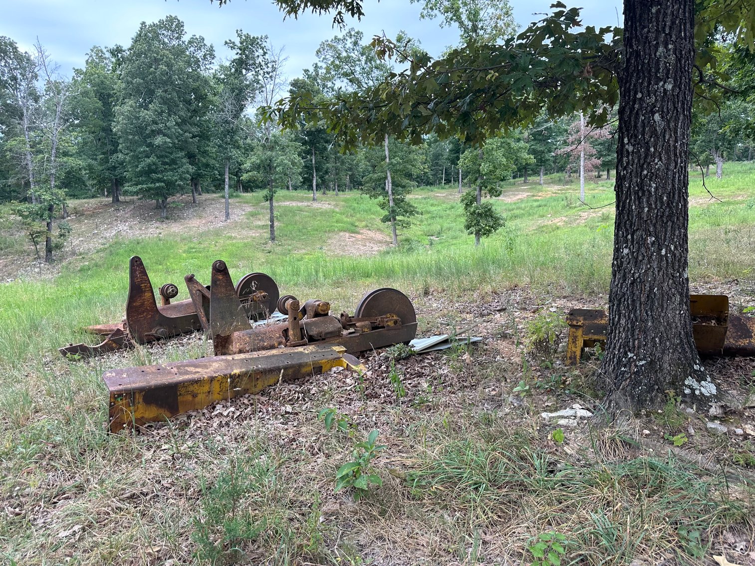 Image for Hilton Real Estate Auction