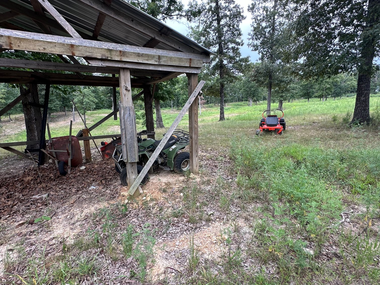 Image for Hilton Real Estate Auction