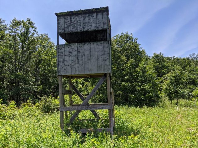 Image for Sexton Auctioneers August 28th Equipment Auction