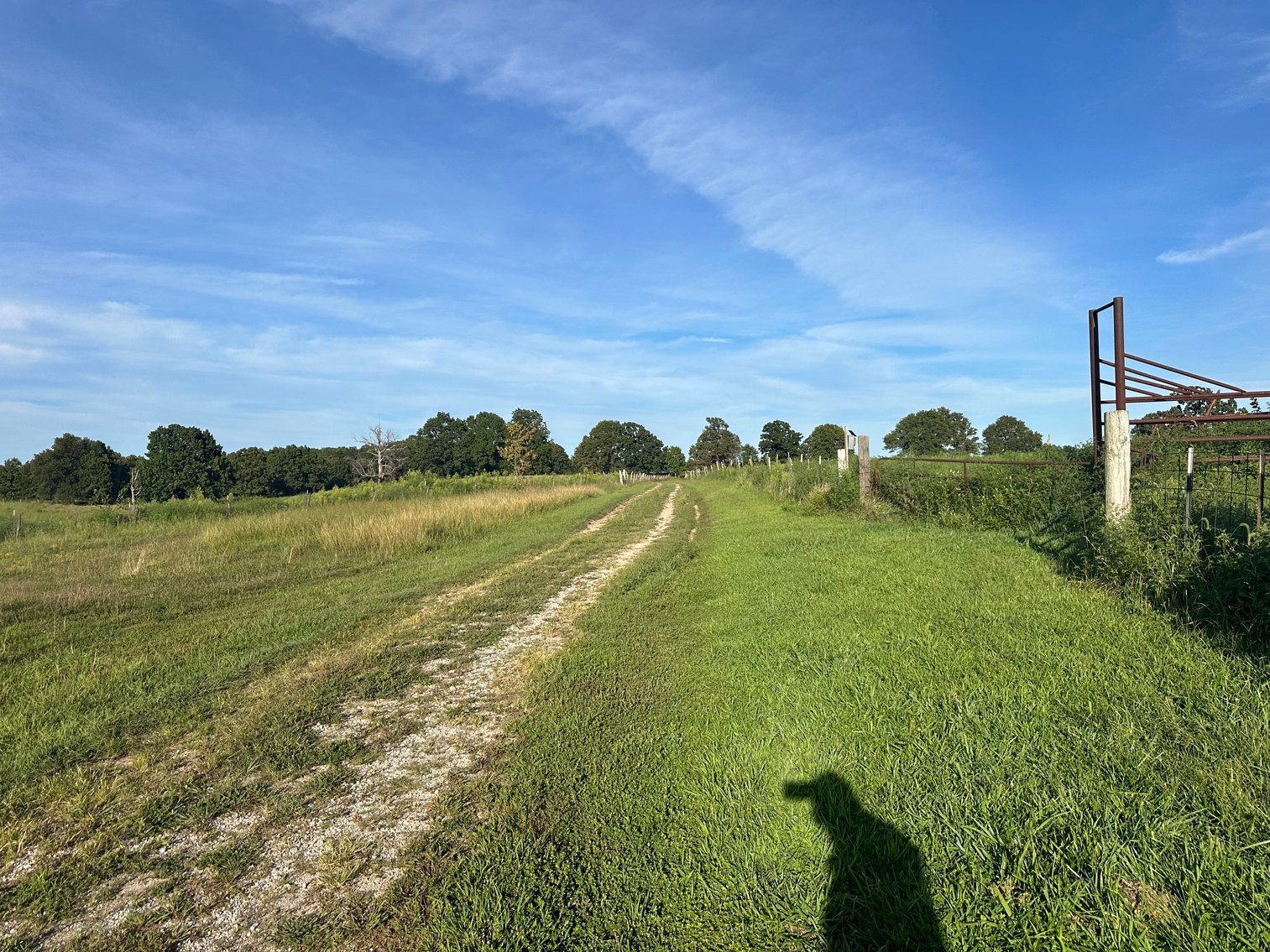 Image for Lancaster Real Estate Auction