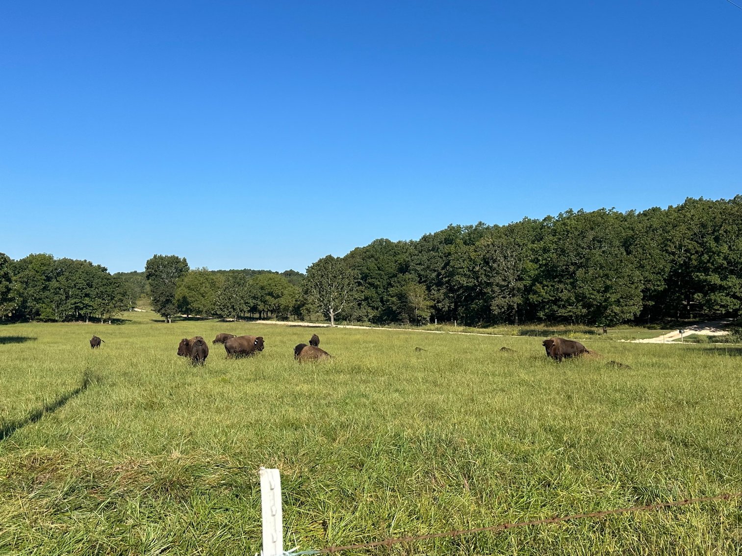 Image for Windhaven Public Farm Auction