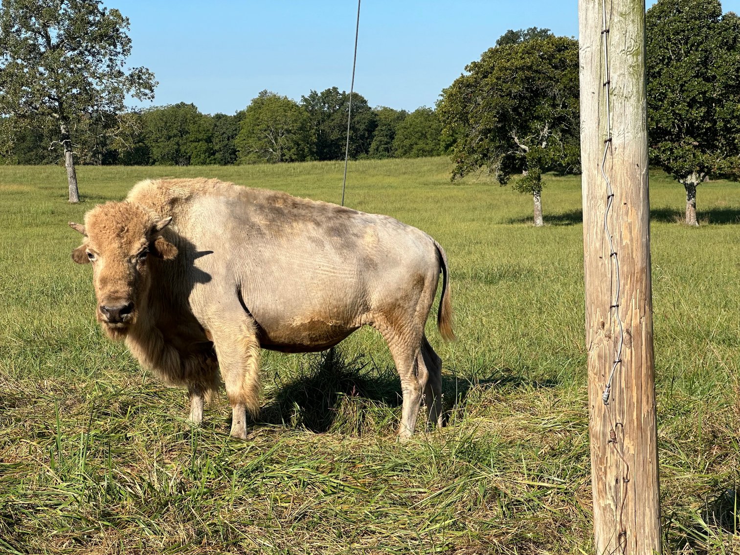 Image for Windhaven Public Farm Auction
