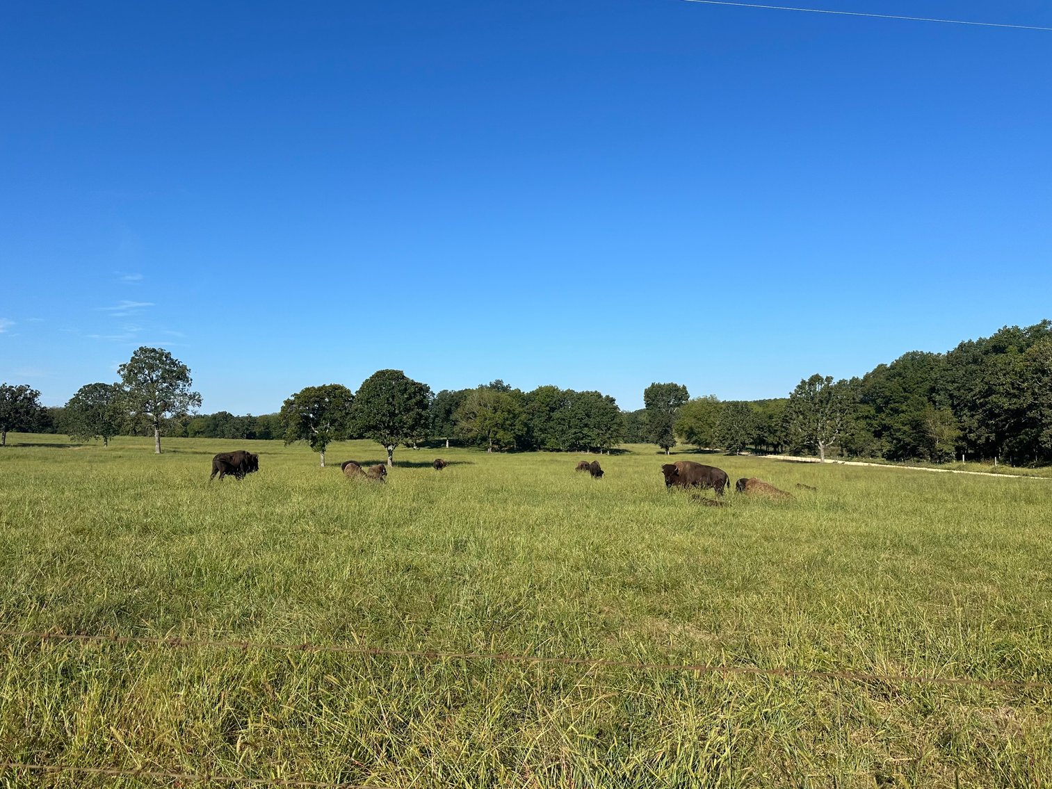 Image for Windhaven Public Farm Auction