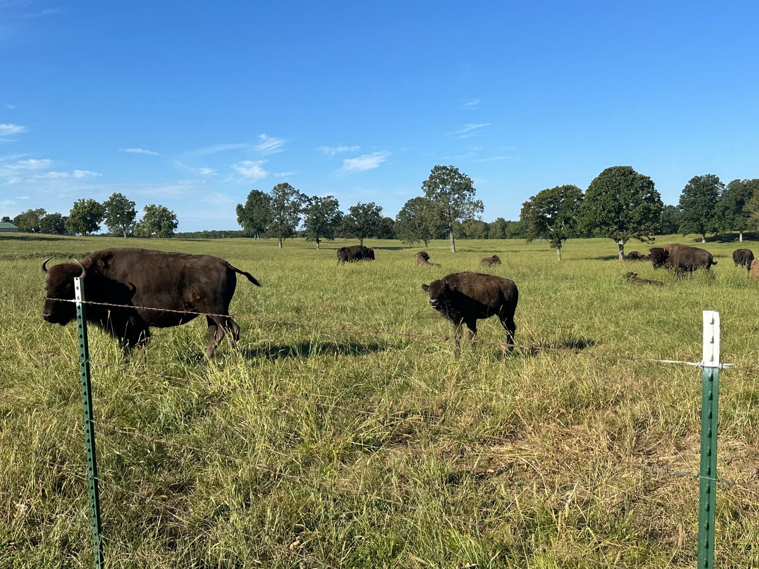 Image for Windhaven Public Farm Auction