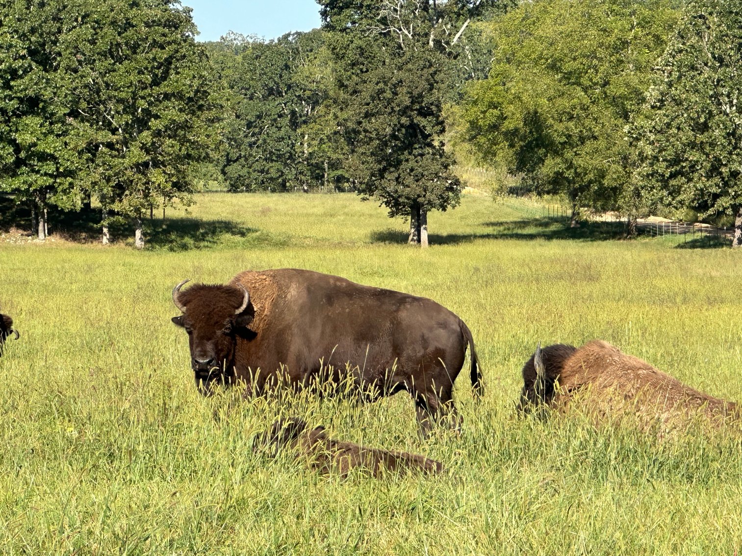 Image for Windhaven Public Farm Auction