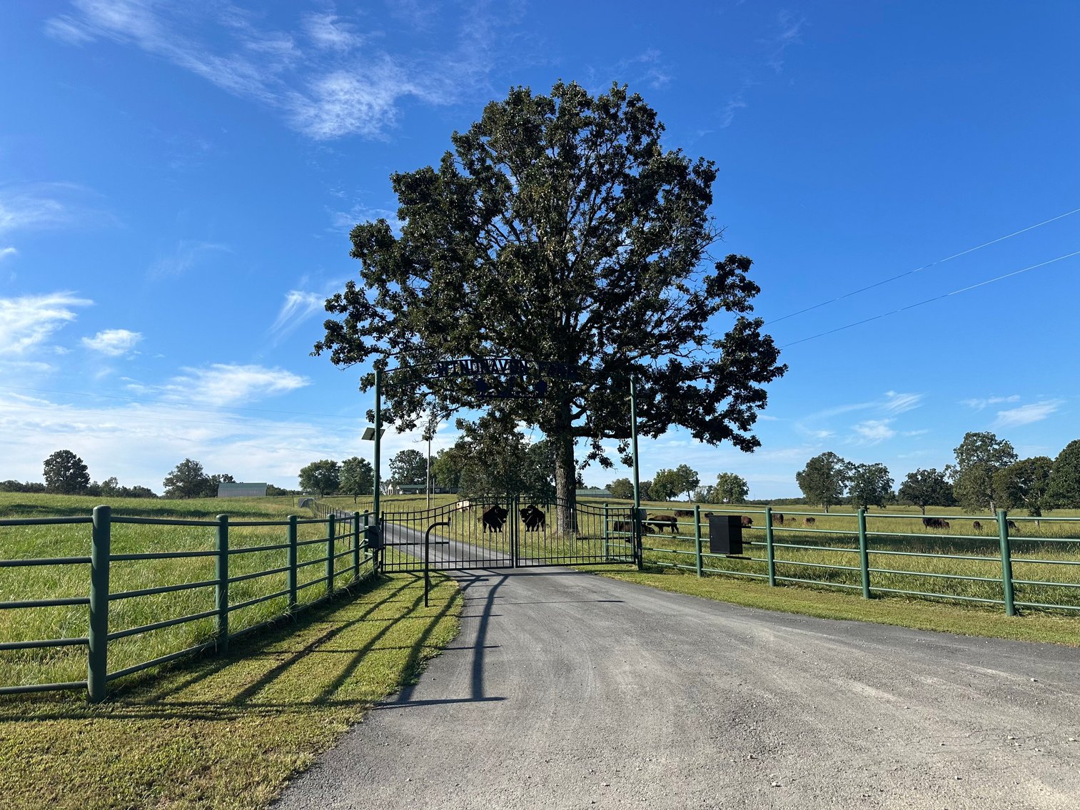 Image for Windhaven Public Farm Auction