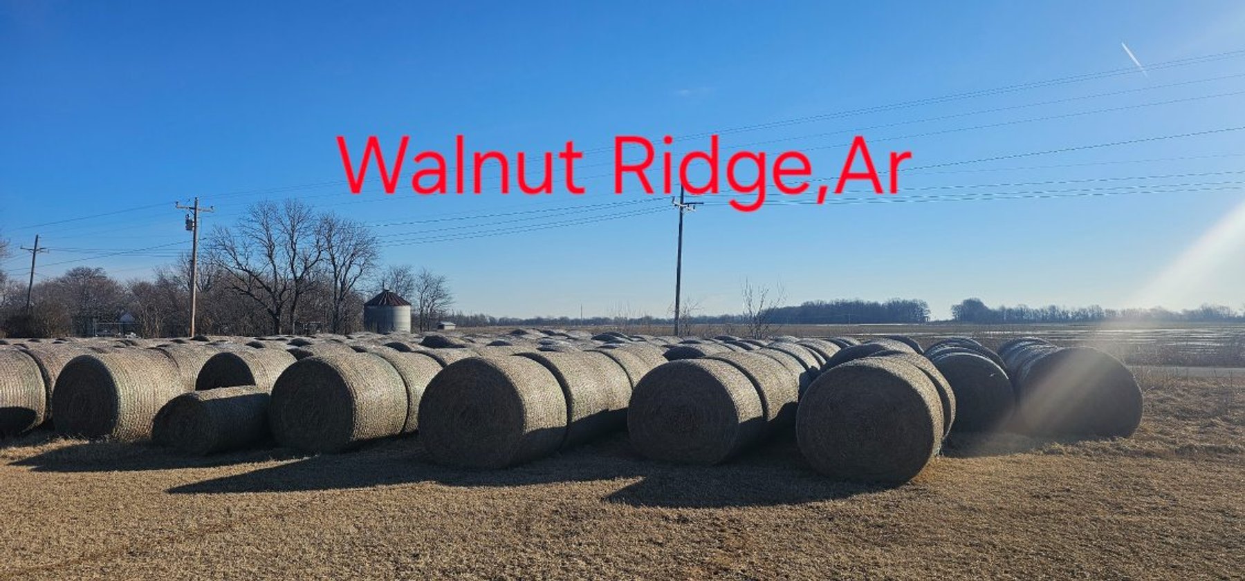 Image for Tedder Outstanding Hay Auction