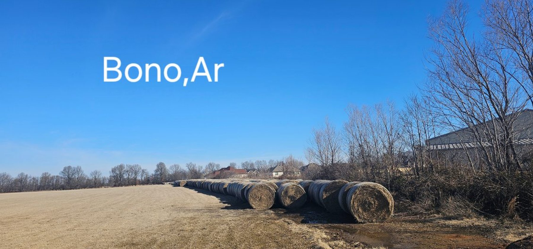 Image for Tedder Outstanding Hay Auction