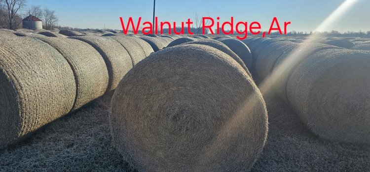 Image for Tedder Outstanding Hay Auction