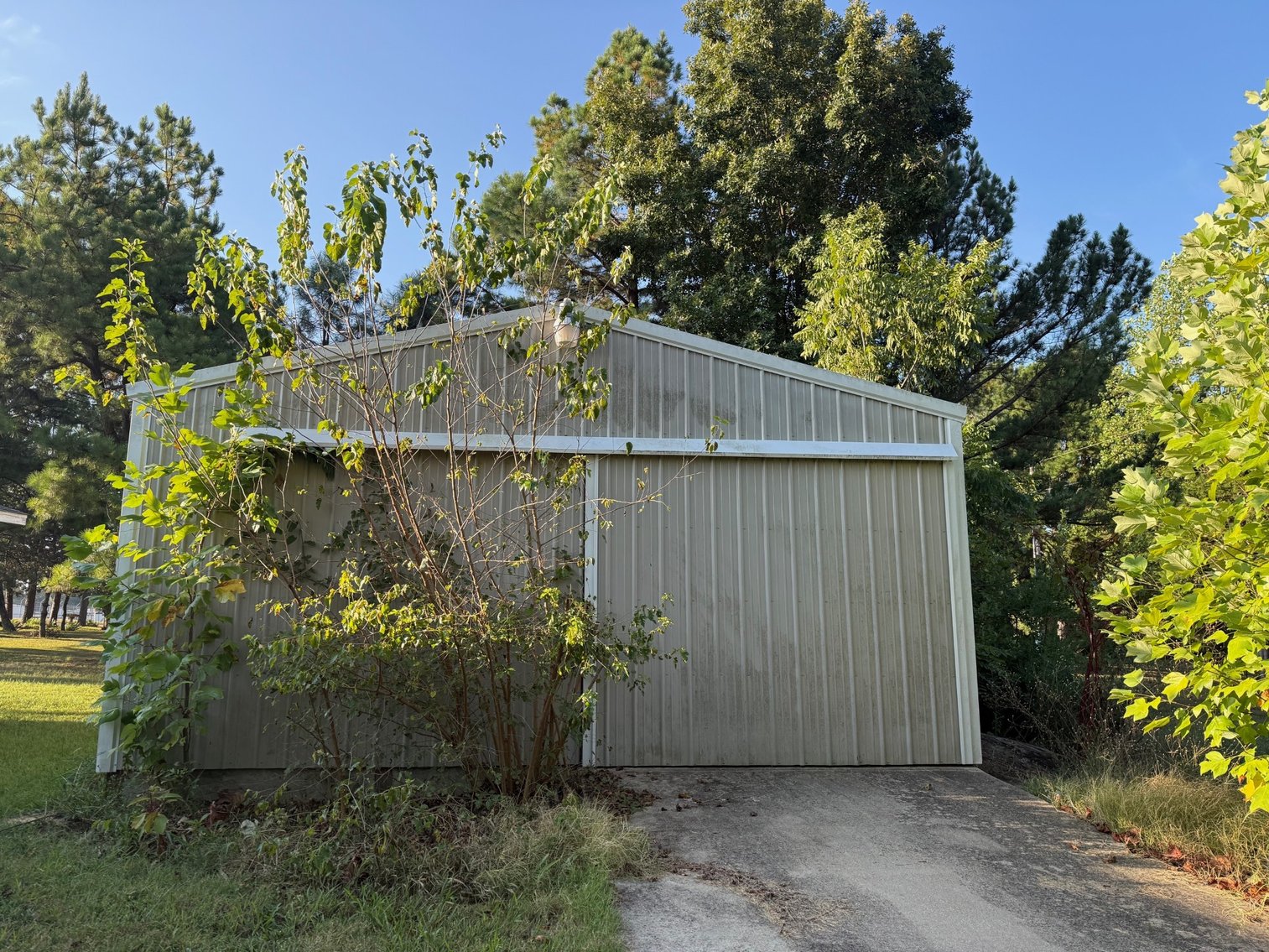 Image for Collins Real Estate Auction