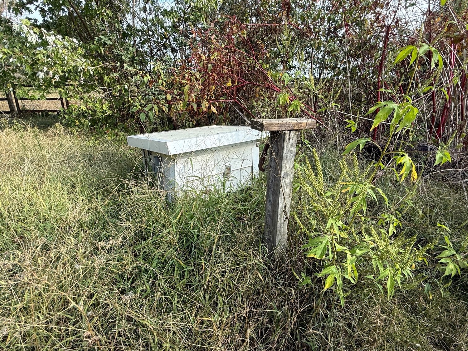 Image for Pruett Real Estate Auction