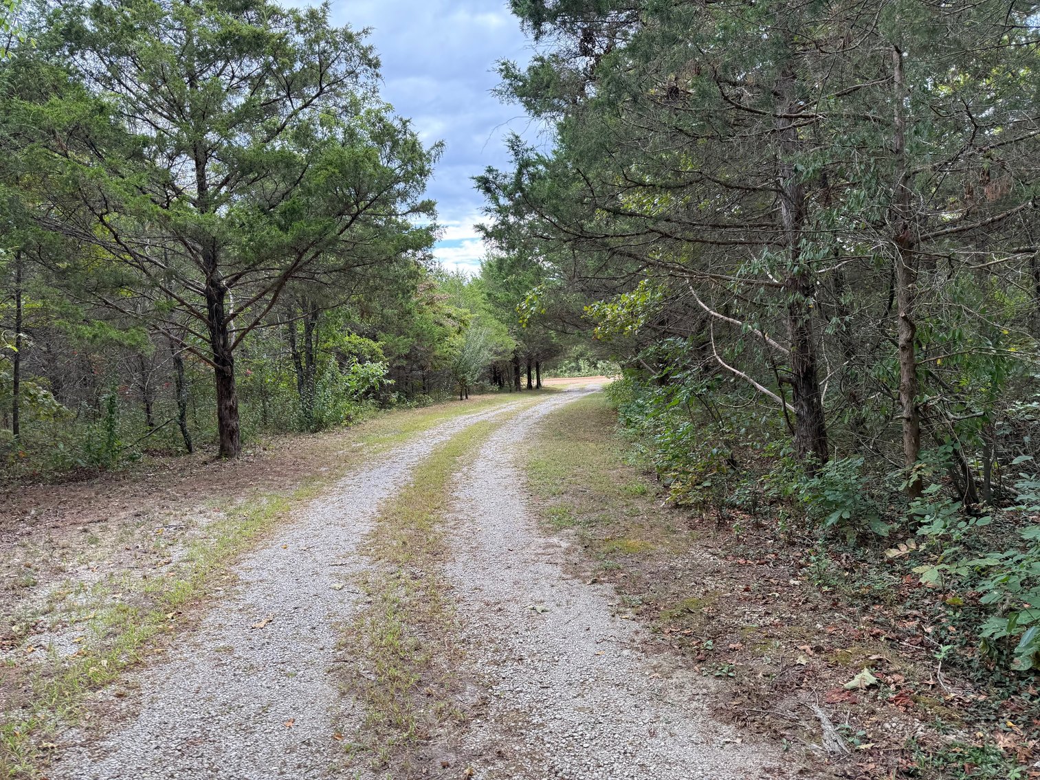 Image for Salmon Real Estate Auction