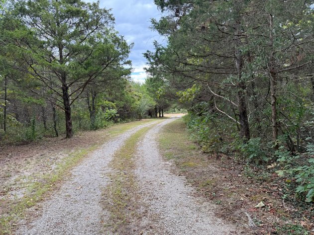 Image for Salmon Real Estate Auction