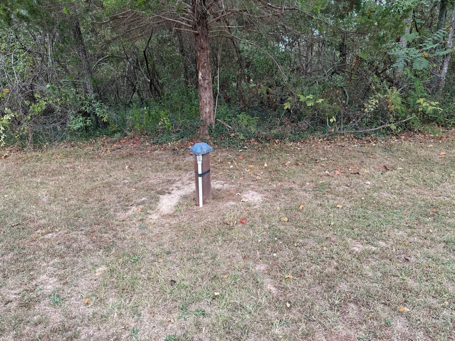 Image for Salmon Real Estate Auction