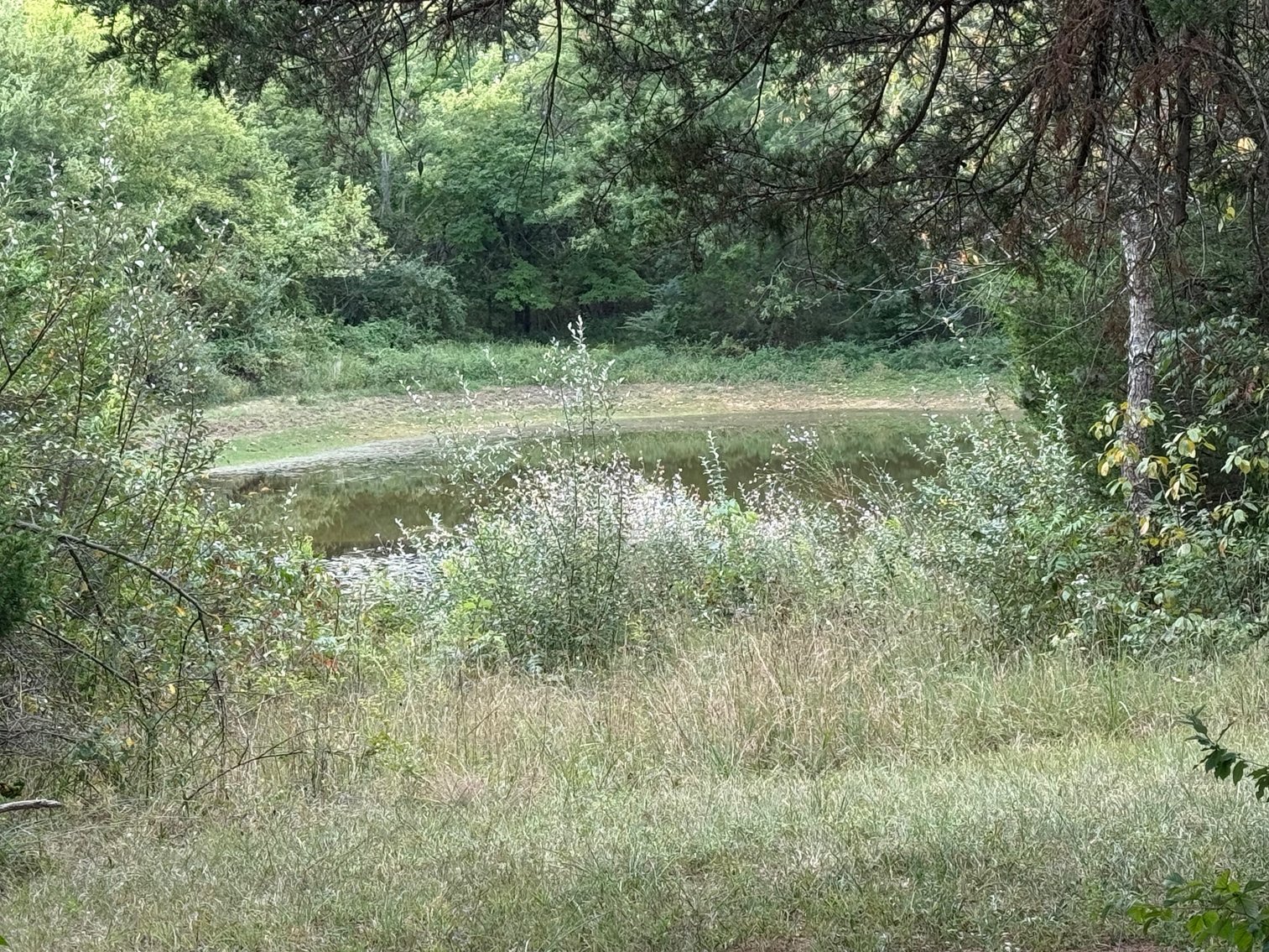 Image for Salmon Real Estate Auction