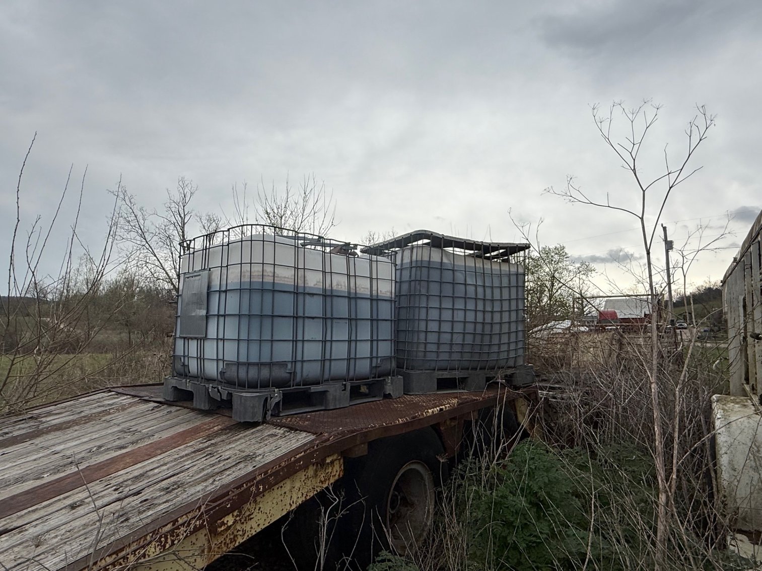 Image for Maloney Farm Dispersal