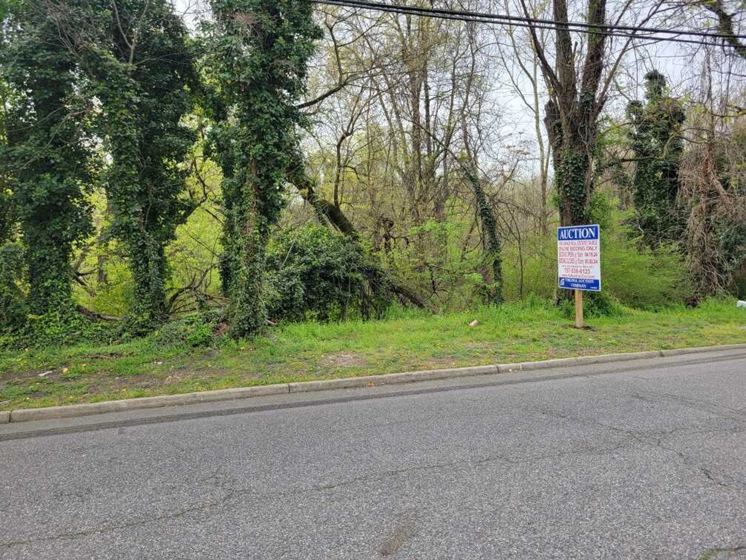 Image for April 18th, 2024 - May 2nd, 2024 - City of Hopewell Nonjudicial Tax Auction