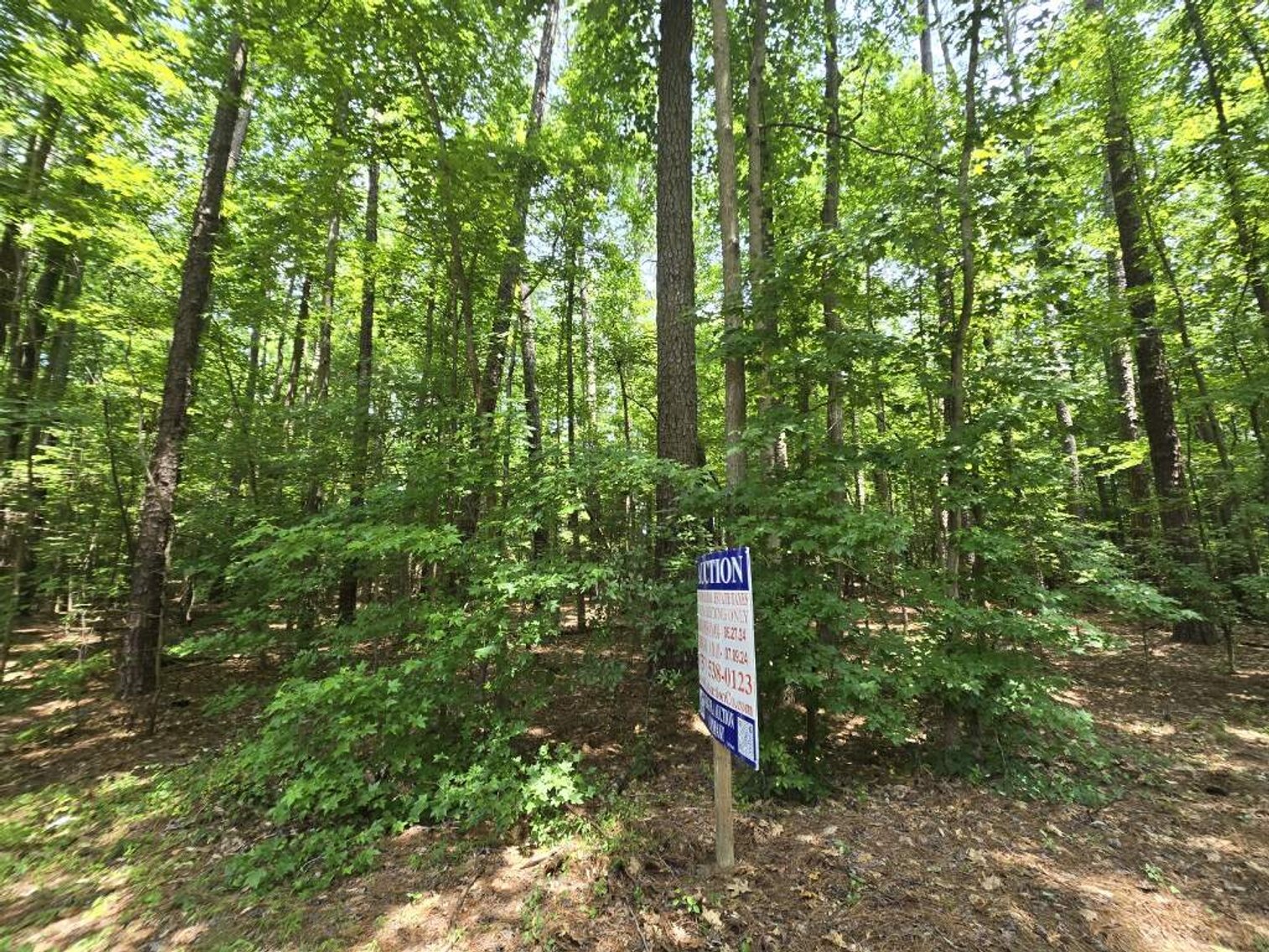 Image for June 27th, 2024 - July 9th, 2024 - City of Suffolk TAX AUCTION