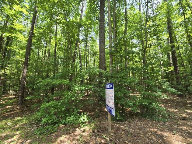 Image for June 27th, 2024 - July 9th, 2024 - City of Suffolk TAX AUCTION