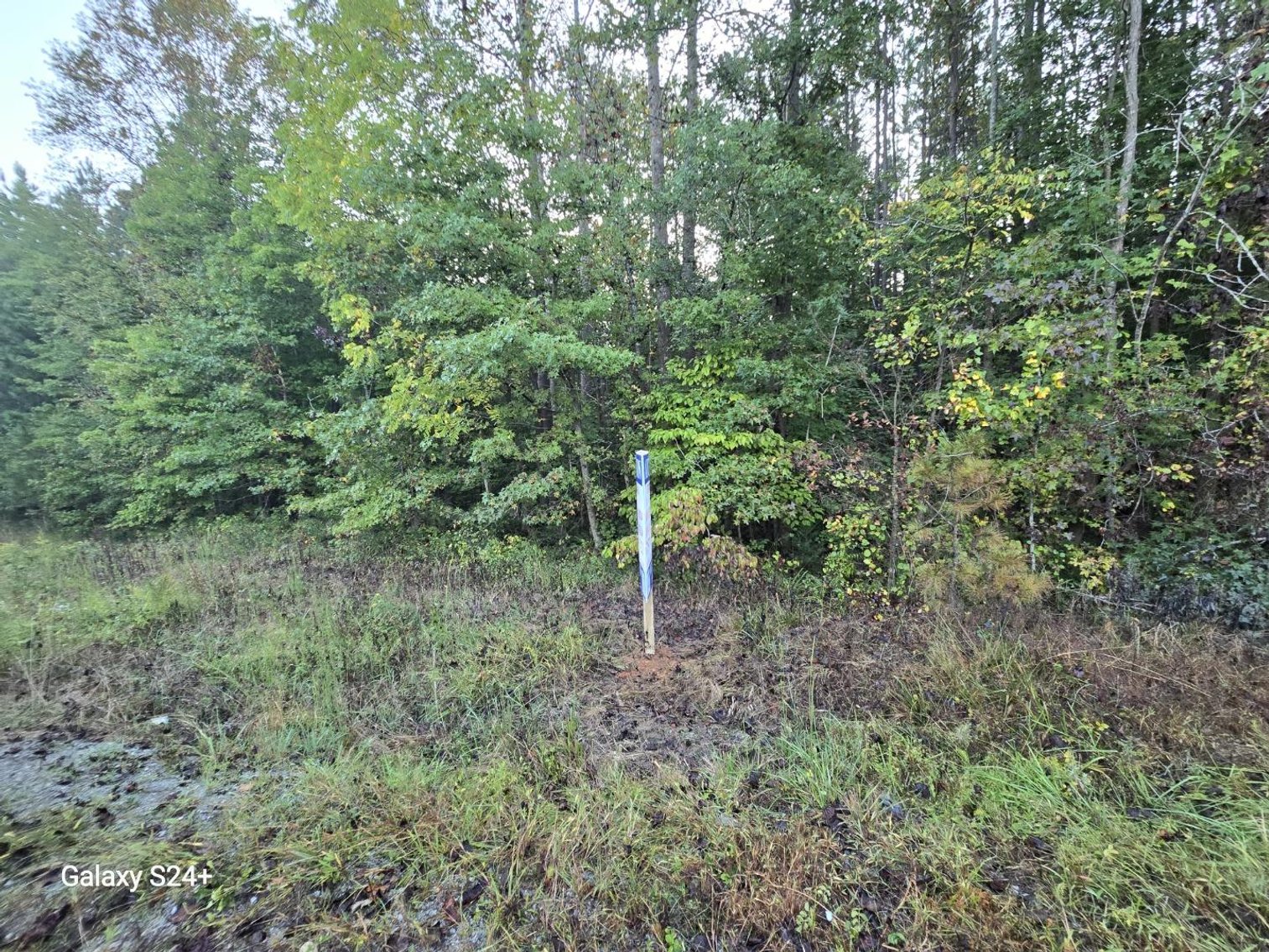 Image for October 9th, 2024 - October 23rd, 2024 - Private Estate Auction