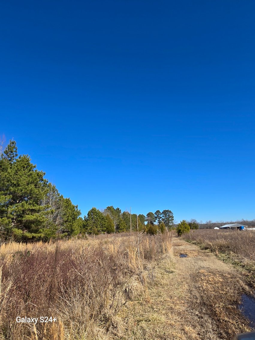 Image for Lot 3 - 15289 Rattlesnake Trl., Ivor, VA