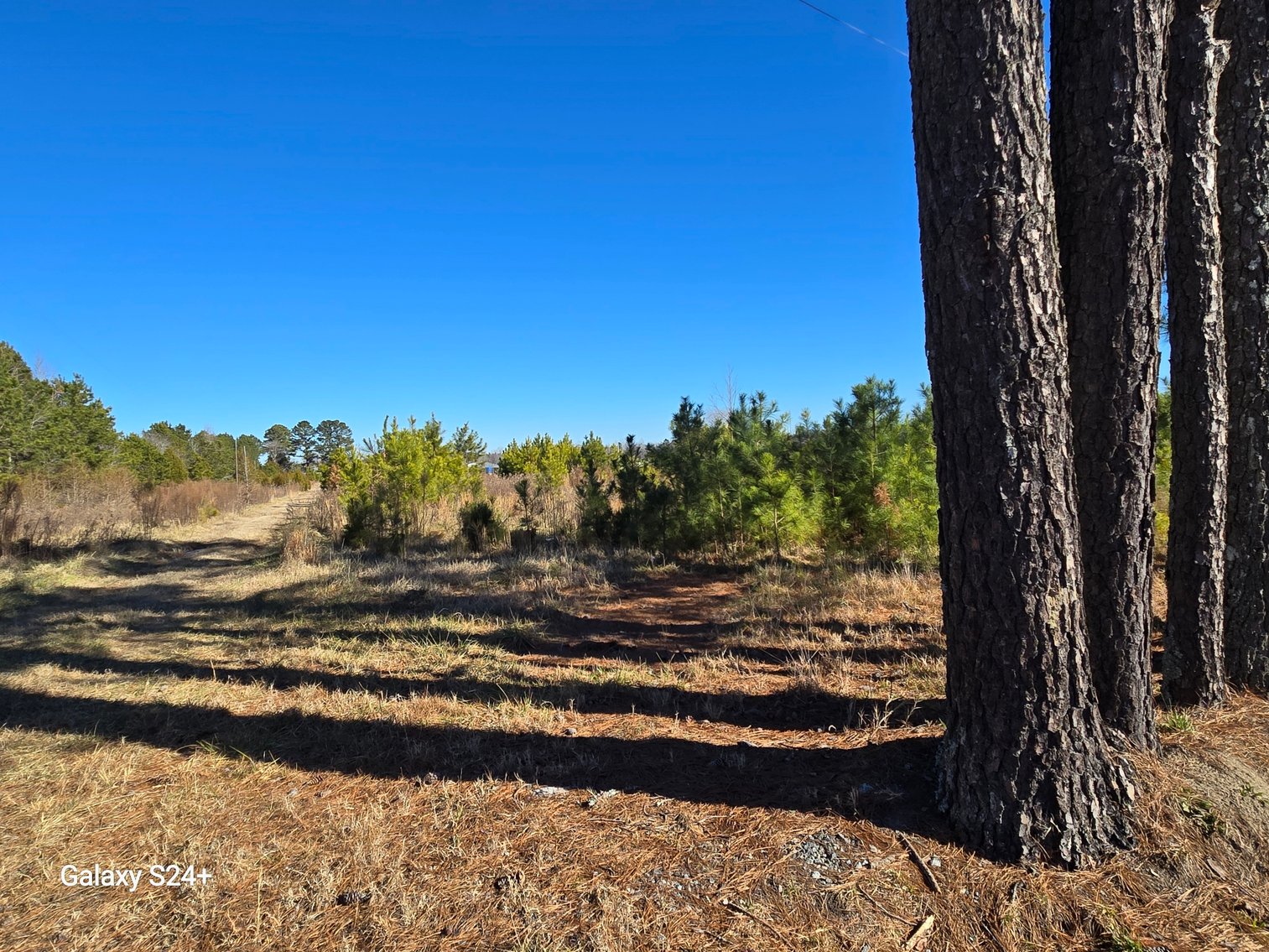 Image for Lot 3 - 15289 Rattlesnake Trl., Ivor, VA