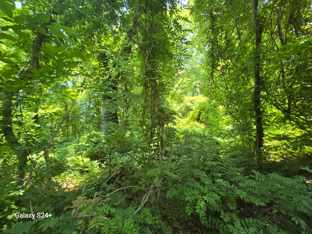 Image for June 4th, 2025 - June 11th, 2025 - Halifax County Nonjudicial TAX AUCTION