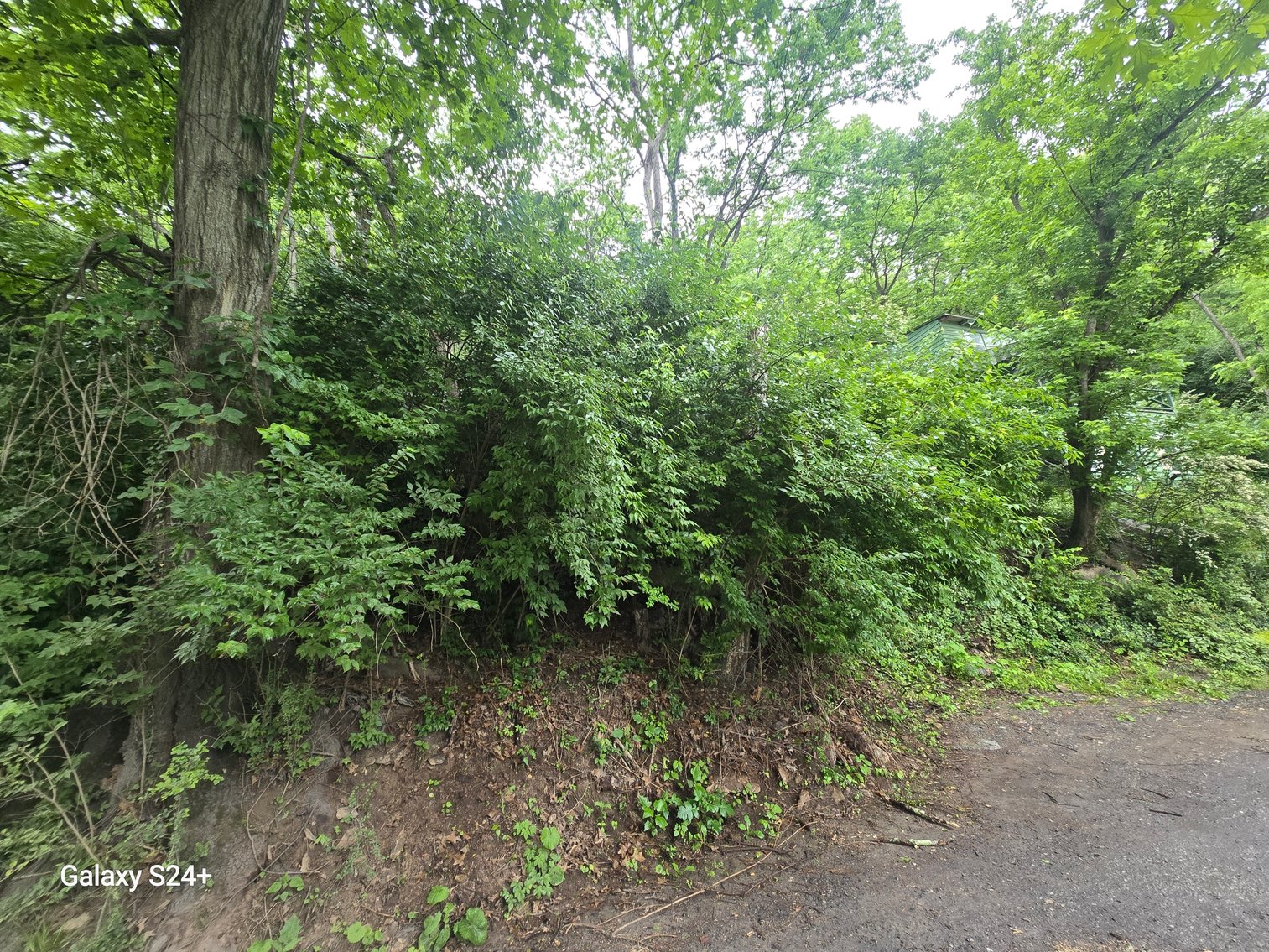 Image for June 11th, 2025 - June 25th, 2025 - Warren County Nonjudicial TAX AUCTION