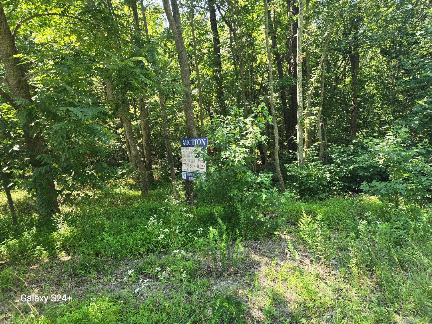 Image for July 15th, 2025 - July 22nd, 2025 -  City of Newport News TAX AUCTION