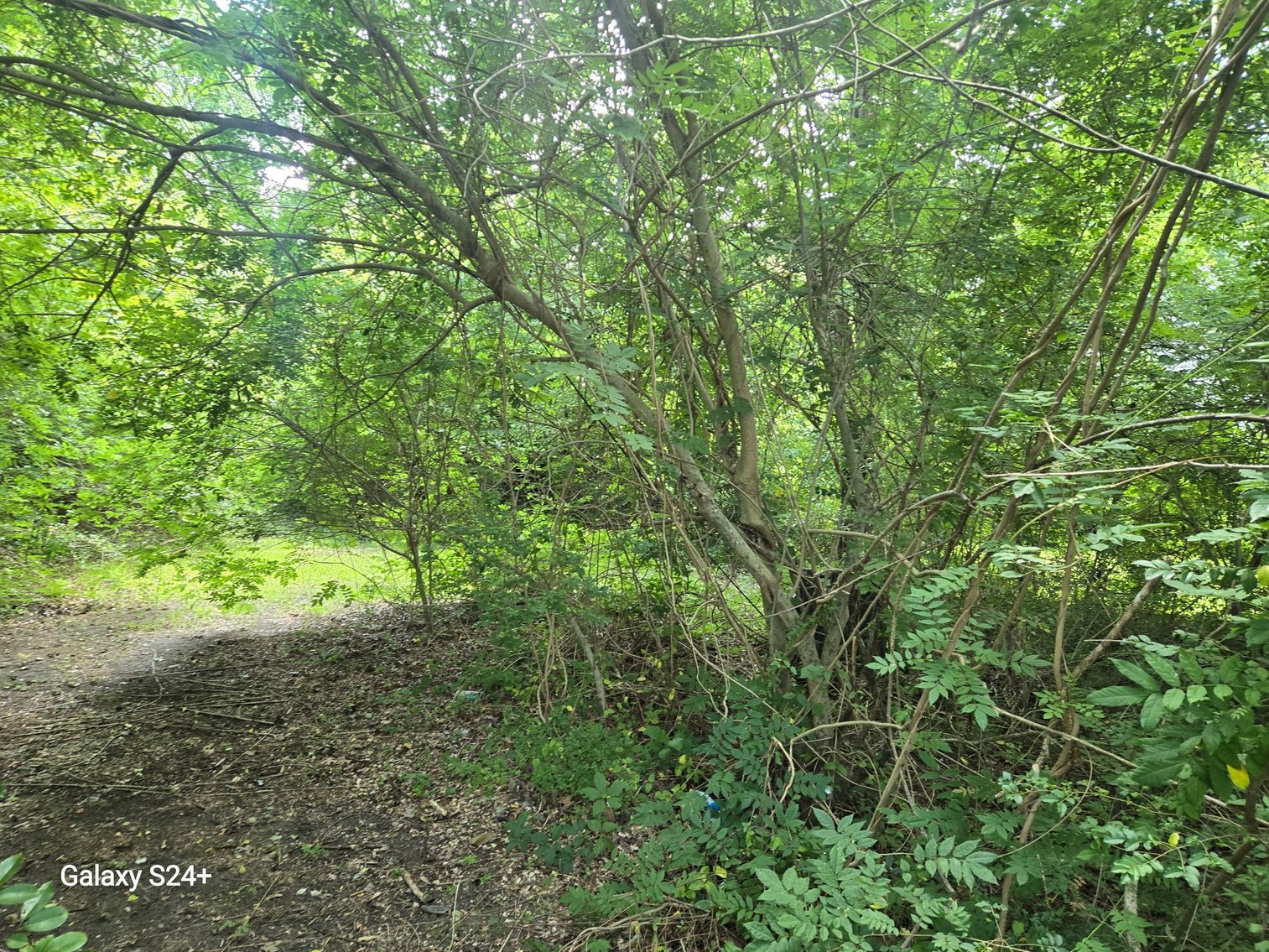 Image for Lot 6 - 256 Realty Ln., Virginia Beach, VA