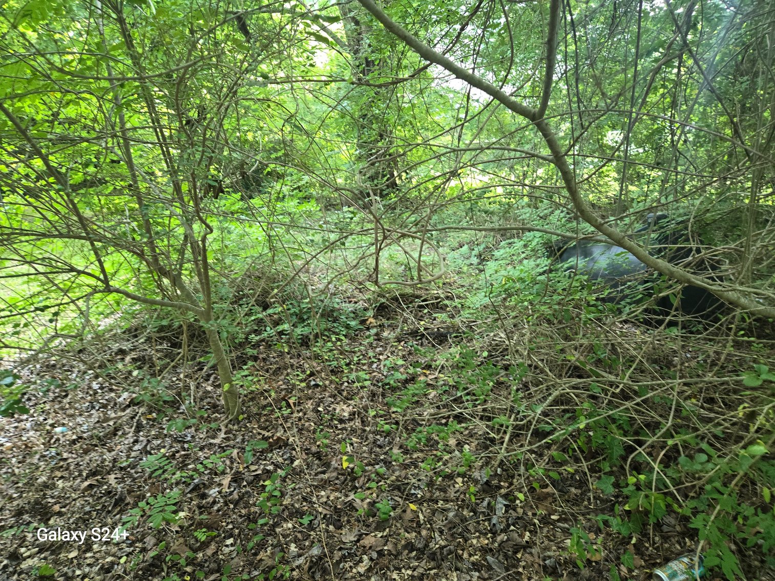 Image for Lot 6 - 256 Realty Ln., Virginia Beach, VA