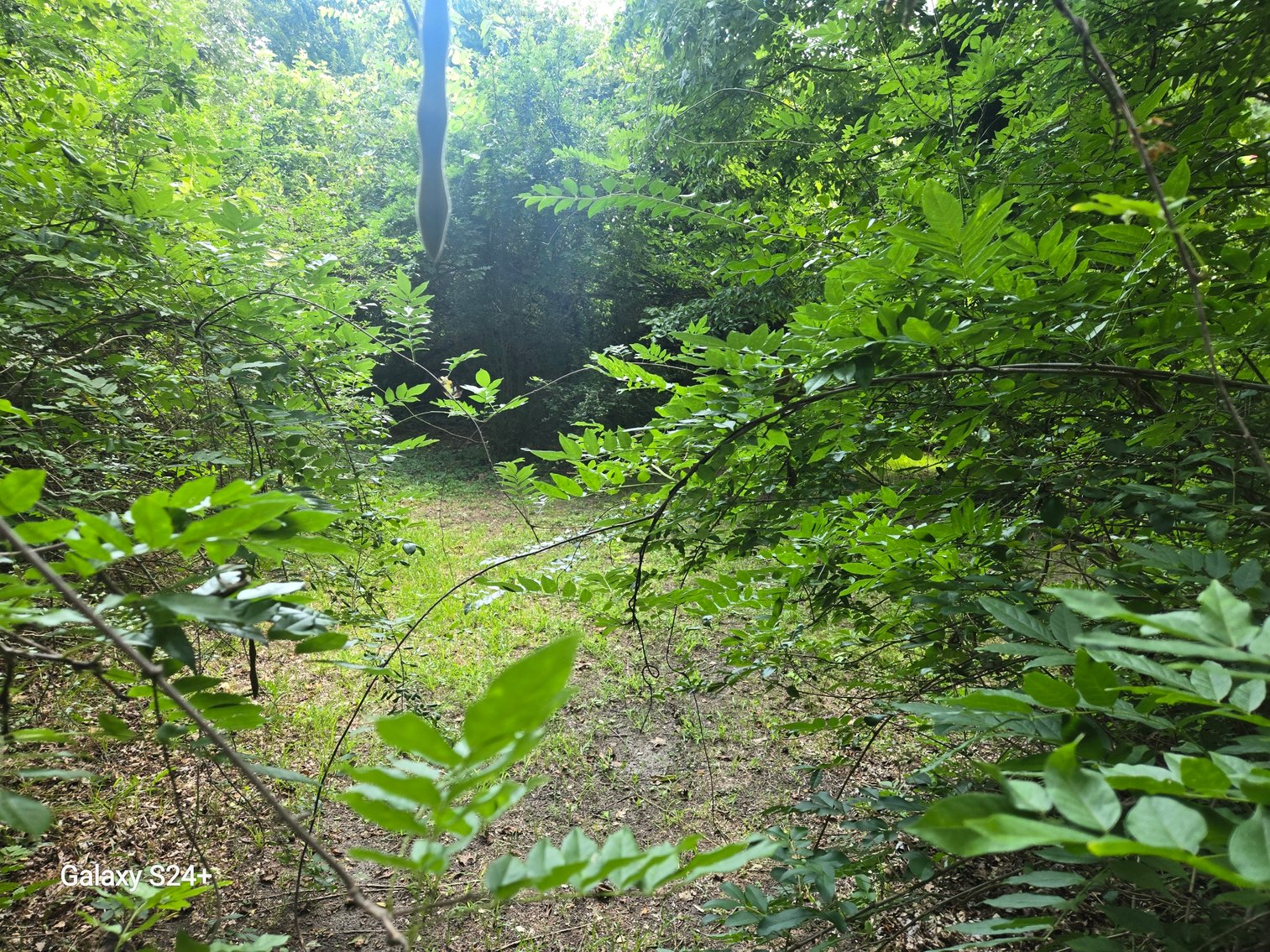 Image for Lot 6 - 256 Realty Ln., Virginia Beach, VA