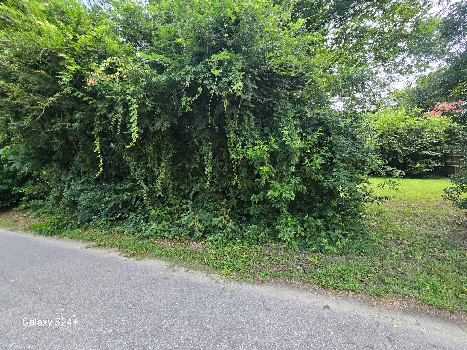 Image for Lot 6 - 256 Realty Ln., Virginia Beach, VA