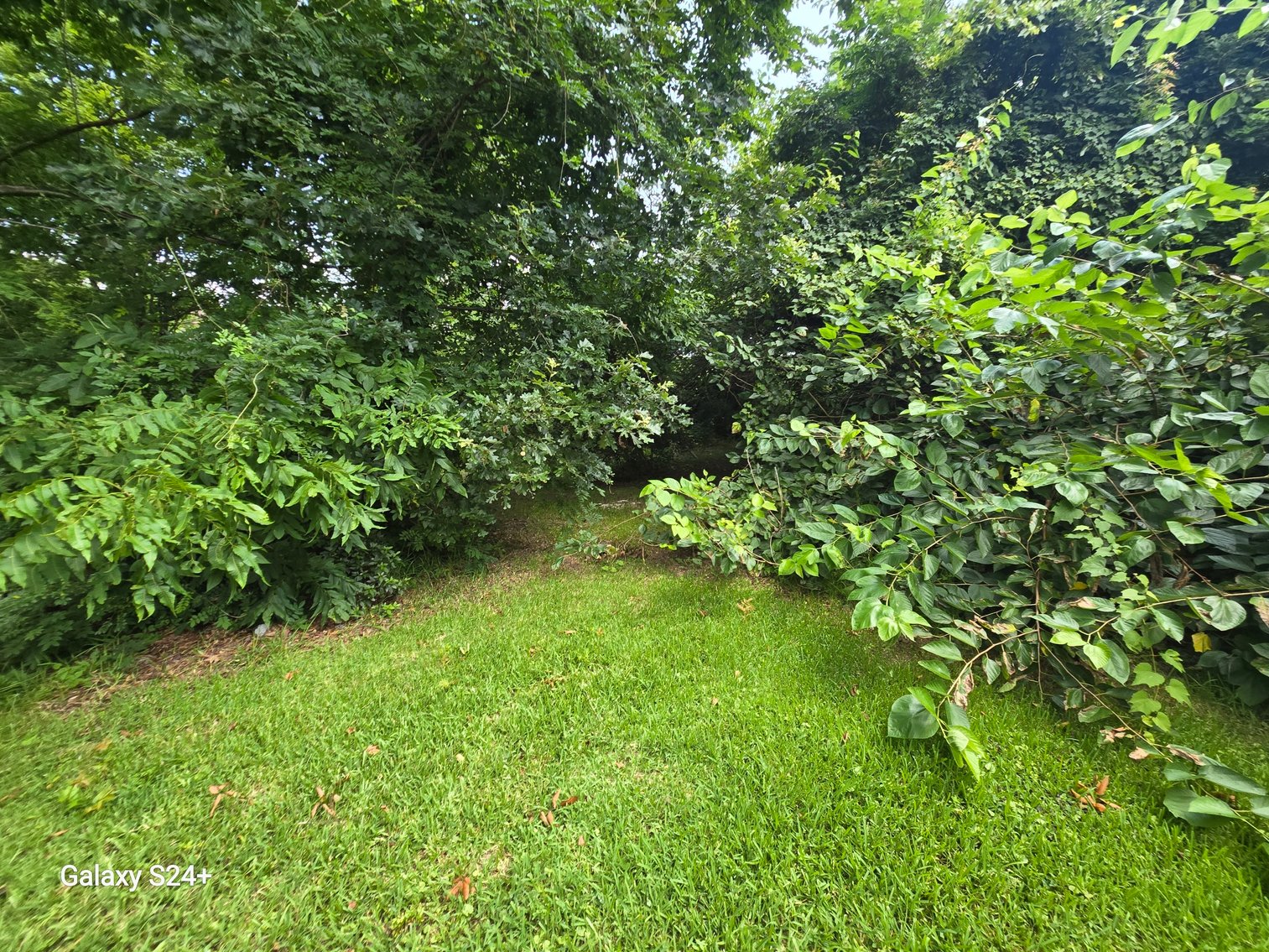 Image for Lot 6 - 256 Realty Ln., Virginia Beach, VA