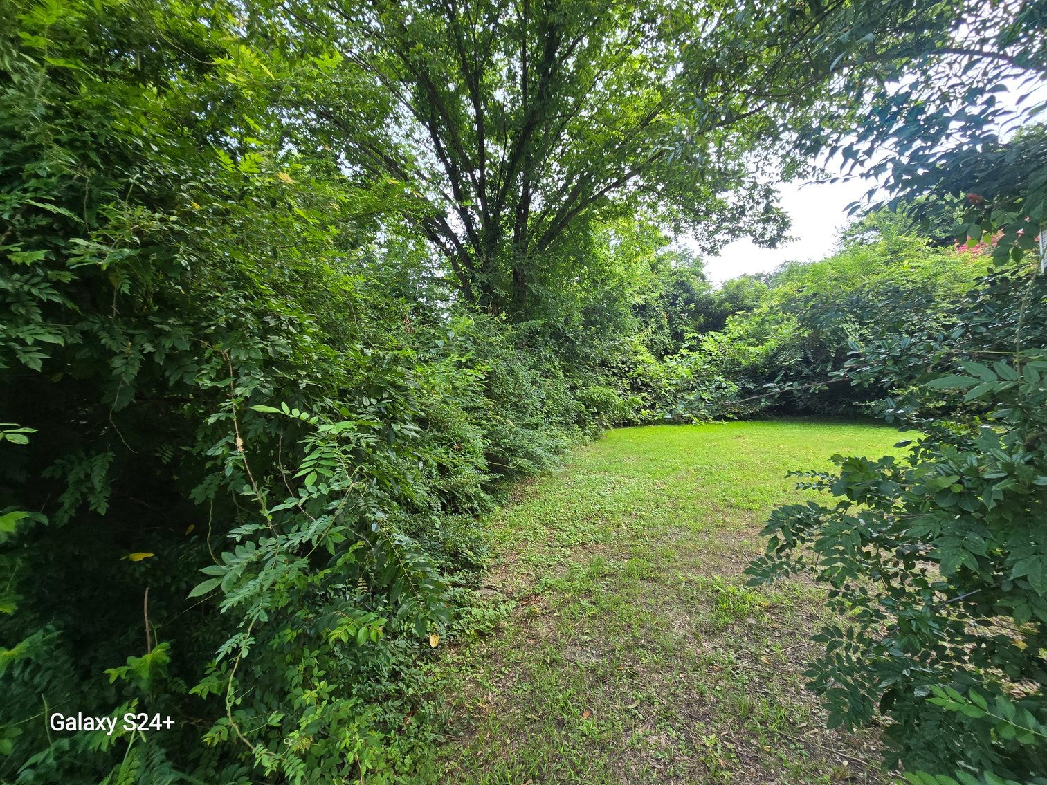 Image for Lot 6 - 256 Realty Ln., Virginia Beach, VA