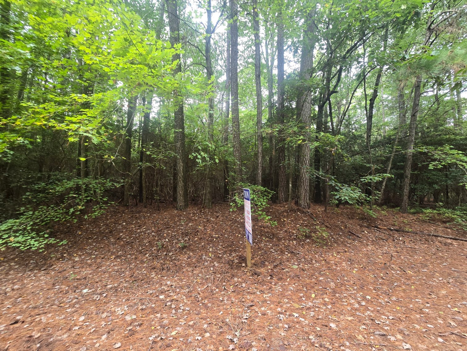 Image for Oct. 22nd, 2025 - Nov. 5th, 2025 - Accomack County Nonjudicial TAX AUCTION