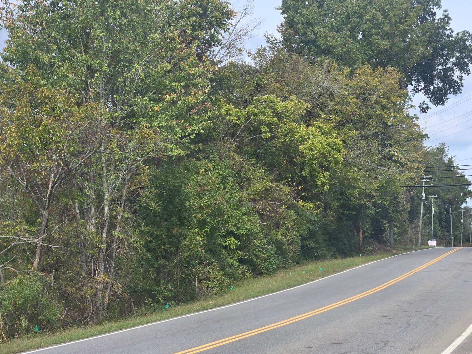 Image for Lot 8 - 1055 Wilroy Rd.