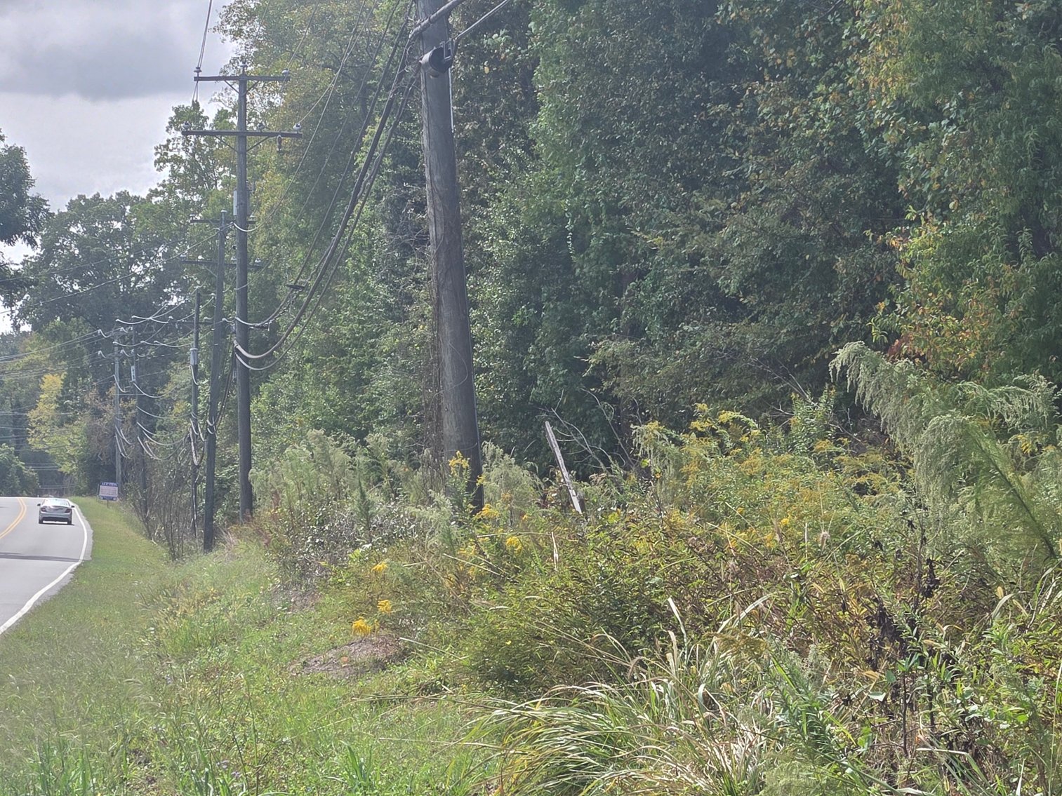 Image for Lot 8 - 1055 Wilroy Rd.