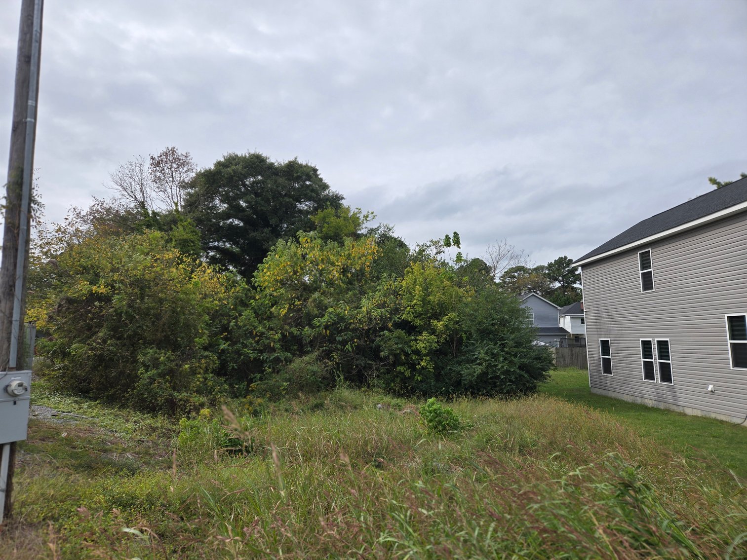 Image for Lot 3 - 327 Wellons St.