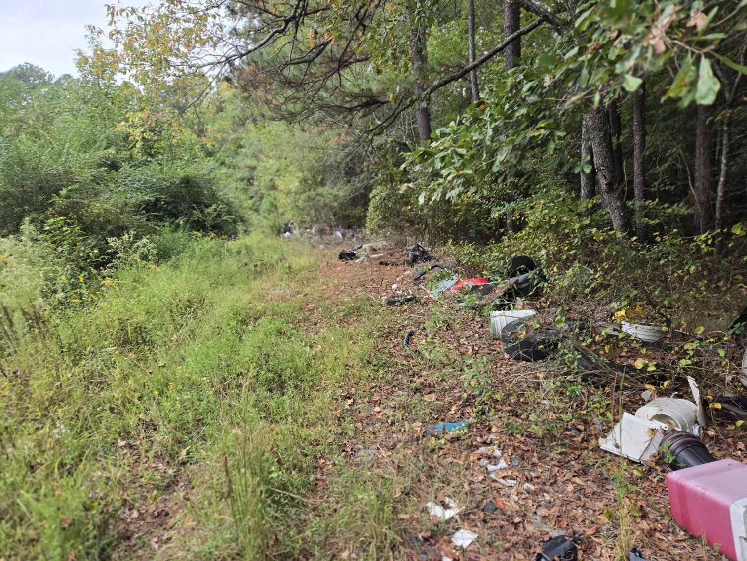 Image for Lot 11 - Across from 2284 Hosier Rd.