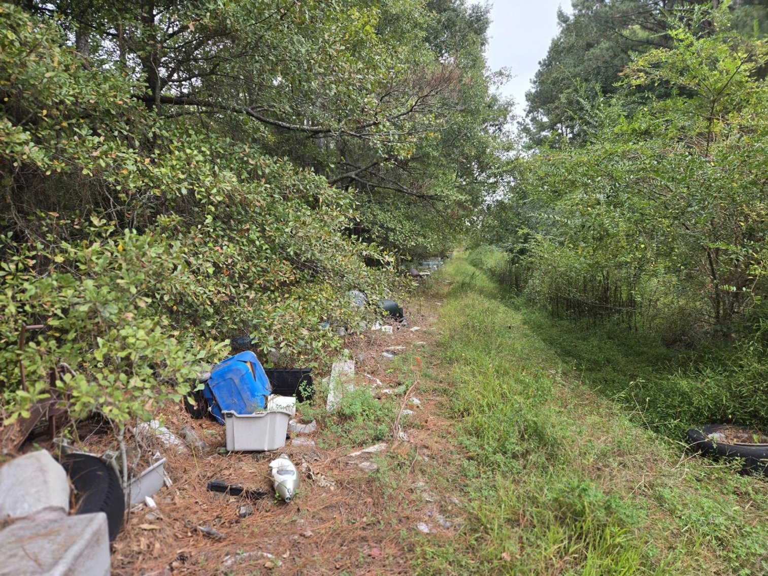 Image for Lot 11 - Across from 2284 Hosier Rd.