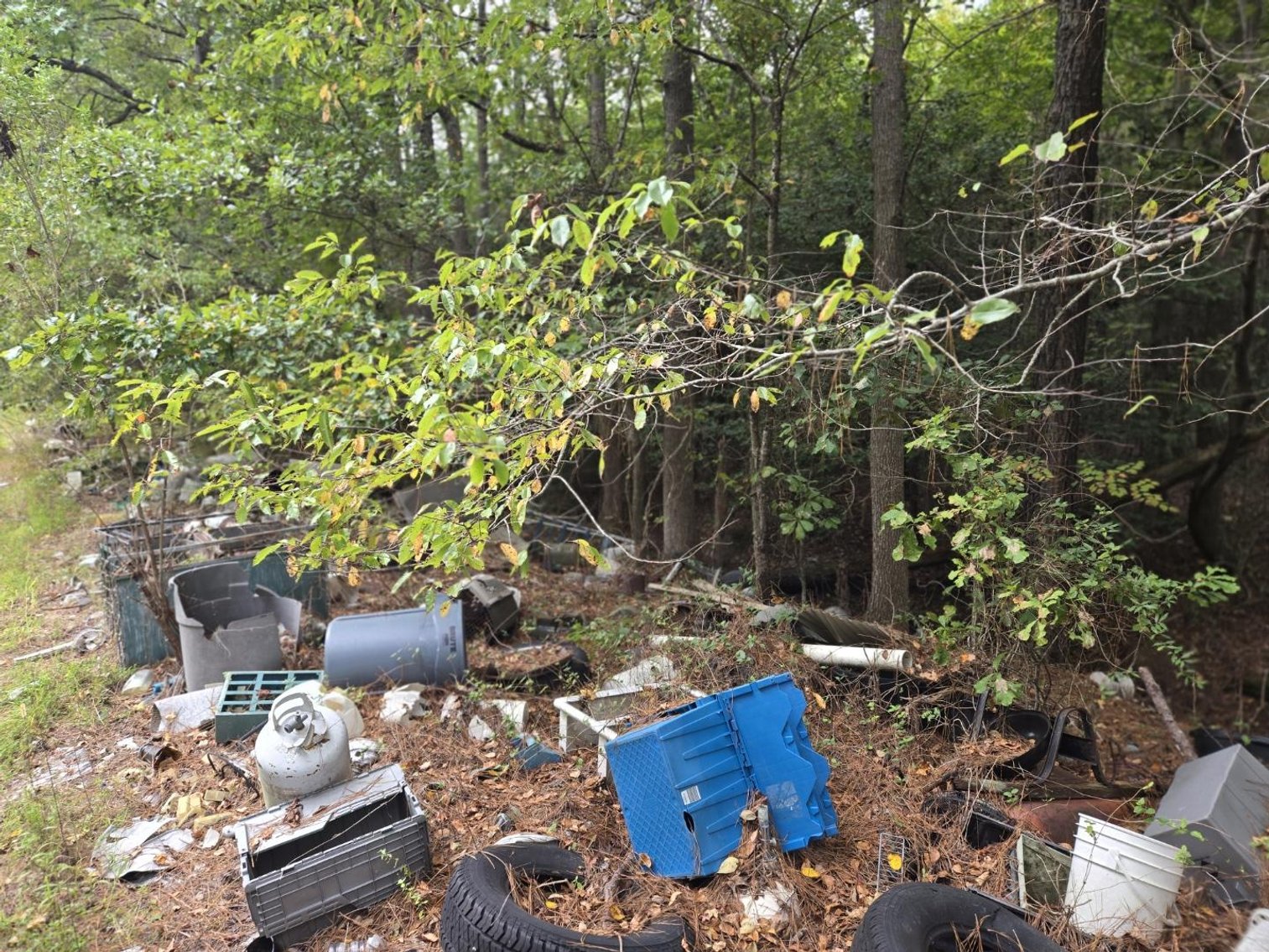 Image for Lot 11 - Across from 2284 Hosier Rd.