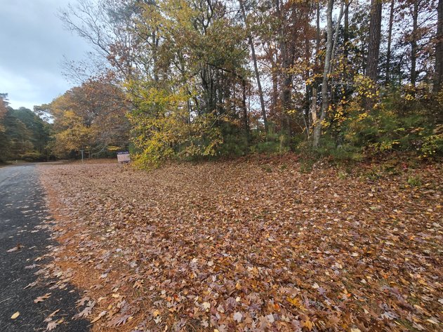 Image for Nov. 26th, 2025 - Dec. 10th, 2025 - Accomack County Nonjudicial TAX AUCTION