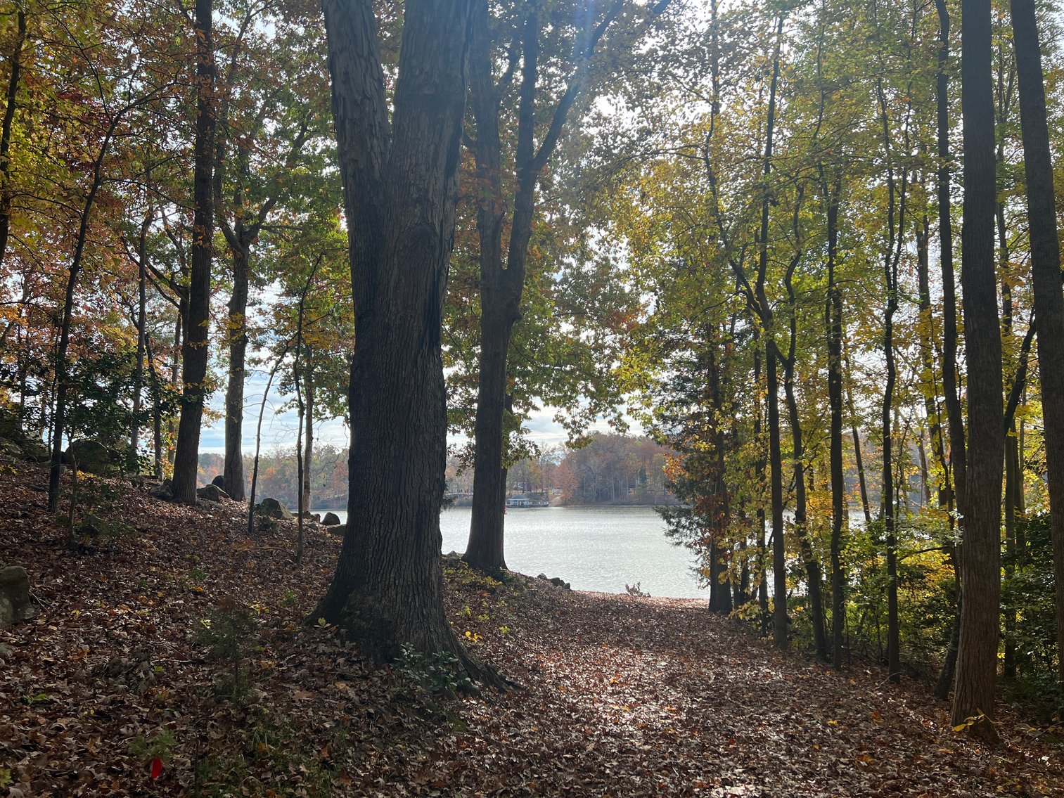 Image for 5 Bedroom, 4208 Sq. Home on 2.4 Acres in Richmond's Premier  Championship Golf and Waterfront Community, Chesdin Landing