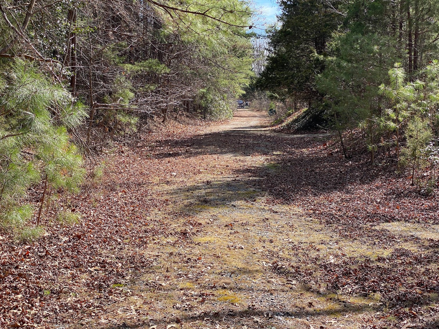 Image for Selling for the Estate of Helvon Smith , 3 Bed & 2 Baths, 7.744 Acres, plus 1.5 story loft home,  a log cabin and outbuilding in Kinsale, VA